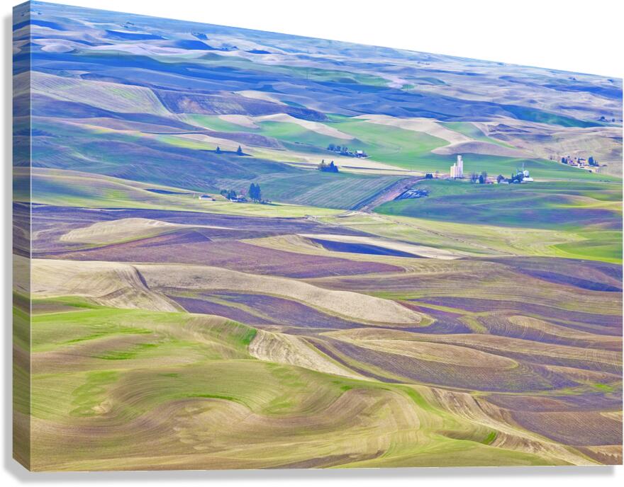 Palouse Canvas Print
