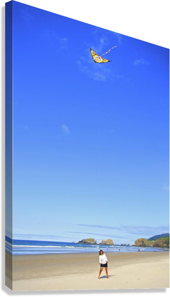 Fly With Me Canvas Print