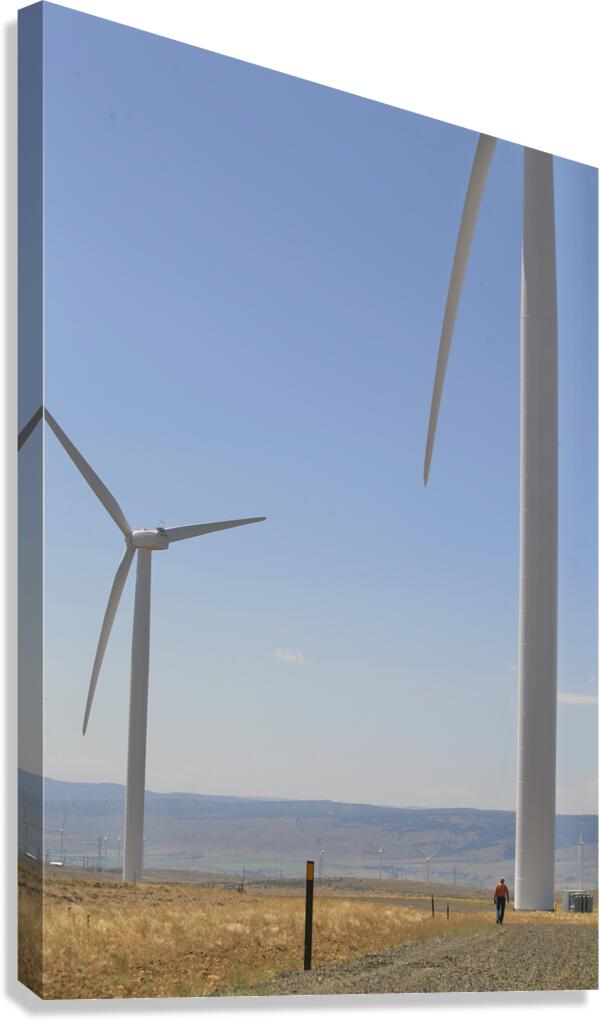 Wind Turbines Canvas Print