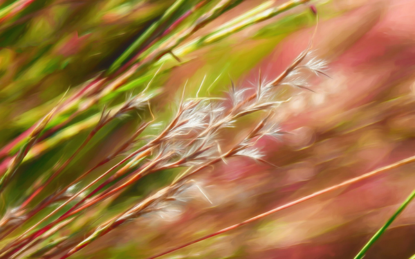 In the Abstract 