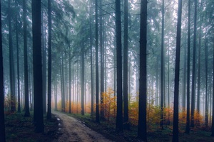 Waiting for something