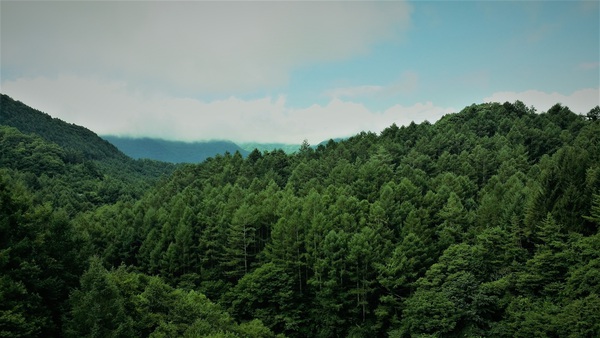 Standing all alone Print