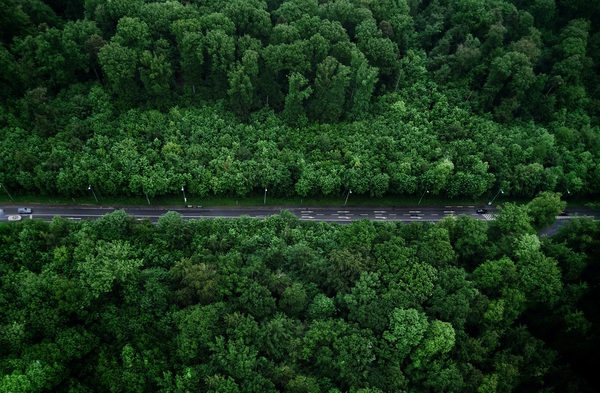 Get the Chance Print