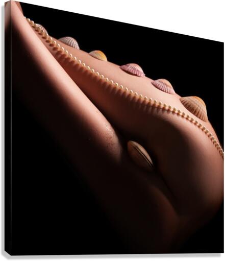 Shell Game Canvas Print