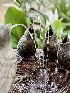 Bird bath