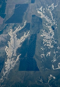 Life after the flood