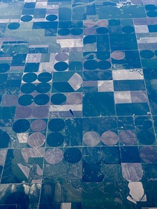 Crop circles