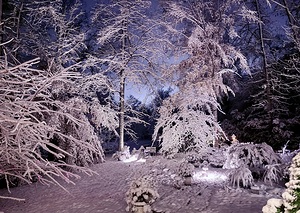 Christmas night