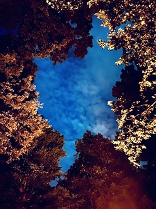 Sheltered