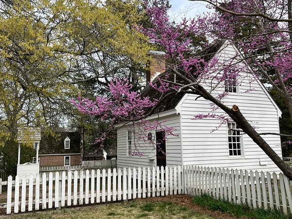Colonial Williamsburg  Téléchargement Numérique