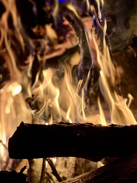 Smores Téléchargement Numérique
