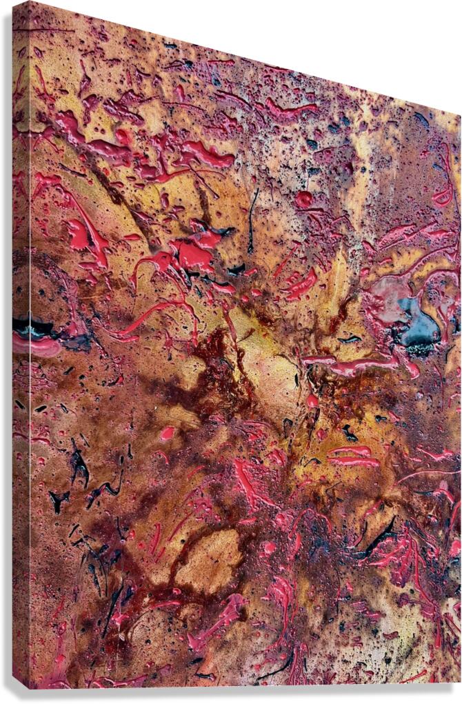 Mars Canvas Print