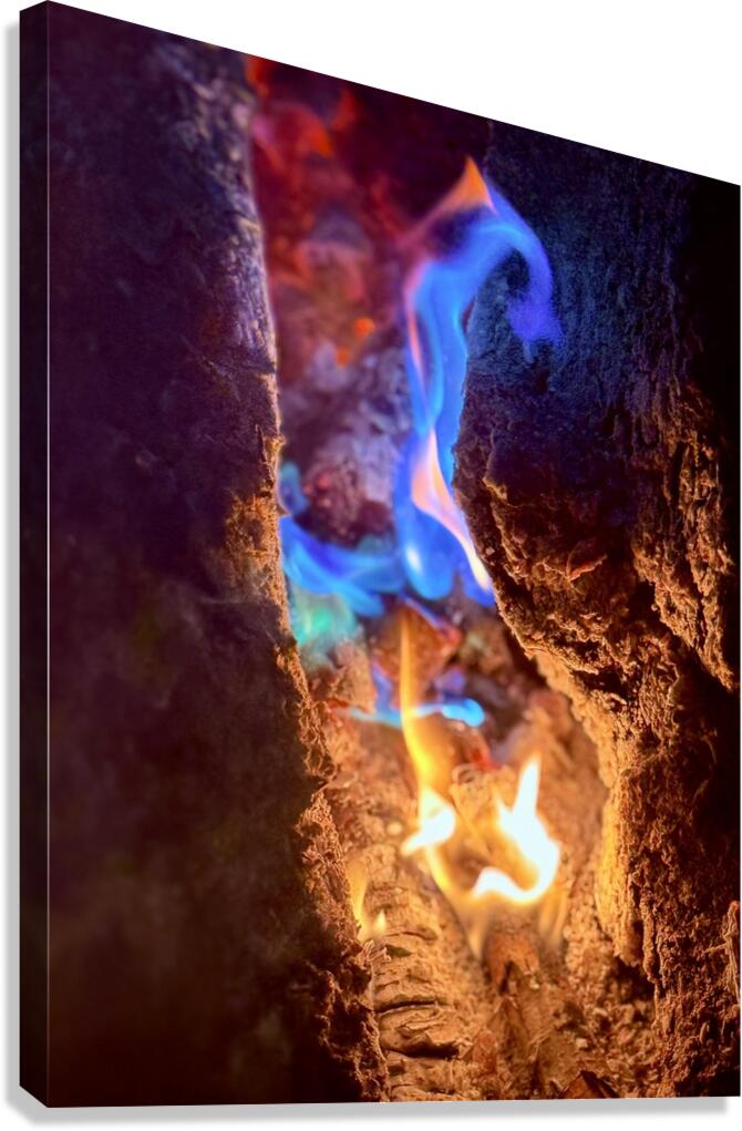 Colorful flame Canvas Print