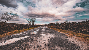 Burren National Park II