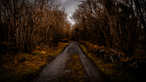 Burren National Park III