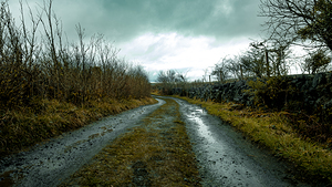 Burren National Park VI