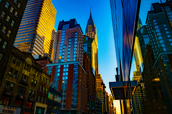 New York in Blue Print