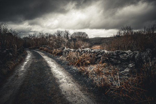 Burren National Park IV Print