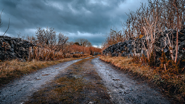 Burren National Park Print