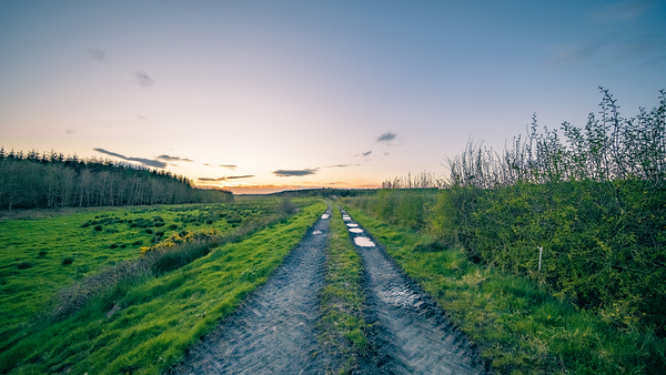 Irish Road Print