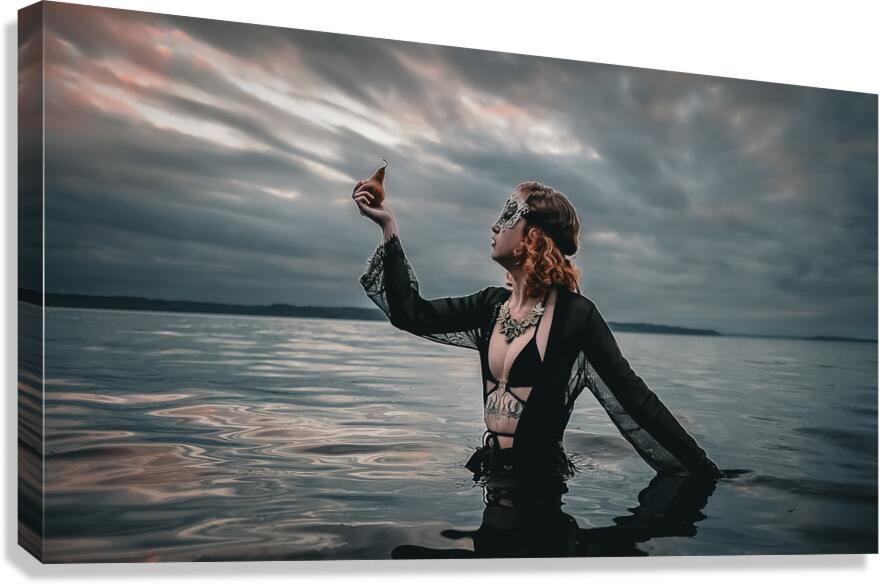 CCCI 20 Canvas Print