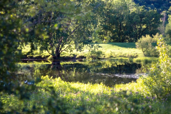 Summer in Glen Sutton Print