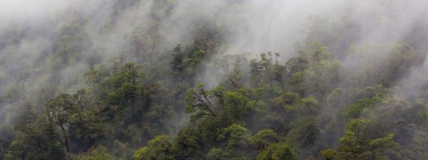 Doubtful Sound South Island New Zealand Print