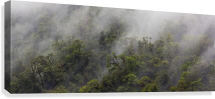 Doubtful Sound South Island New Zealand Canvas Print