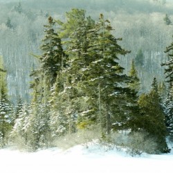 Laurentides in winter