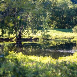 Summer in Glen Sutton