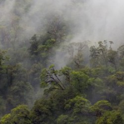 Doubtful Sound South Island New Zealand