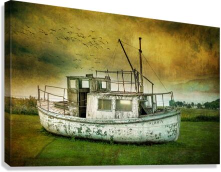 DSC06146 Texture Canvas Print