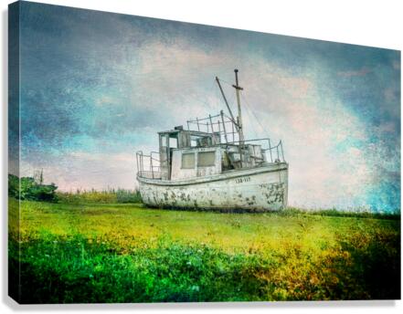 DSC06142 Canvas Print