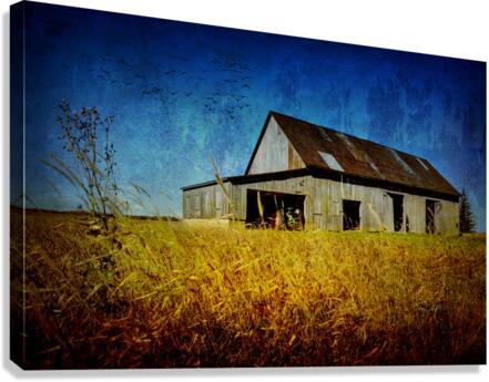 FLA 1208 1 Canvas Print