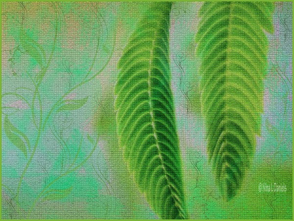 MINT by Nina