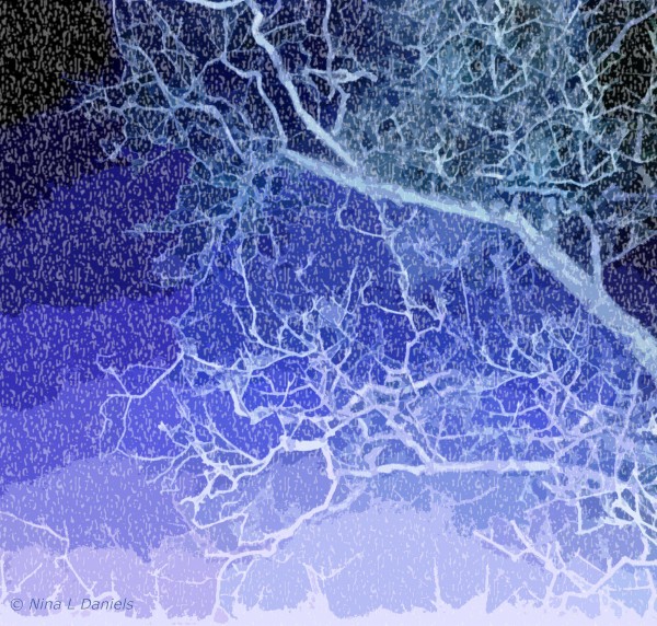 TreeBranches2 by Nina
