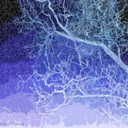 TreeBranches2