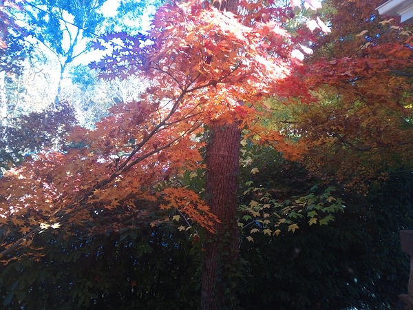 Ethereal Series 4 Print