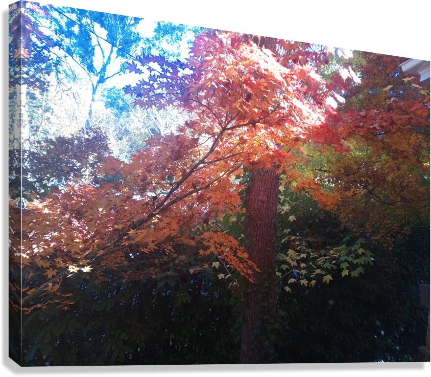 Ethereal Series 4 Canvas Print