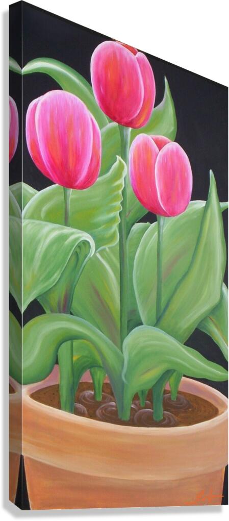 Tulips Canvas Print
