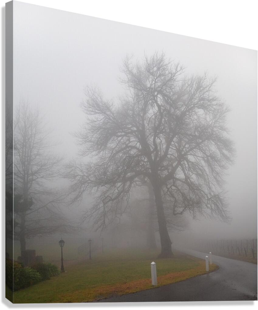 Arrival IV Canvas Print