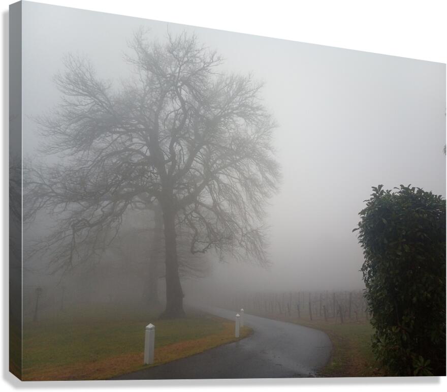 Arrival Canvas Print