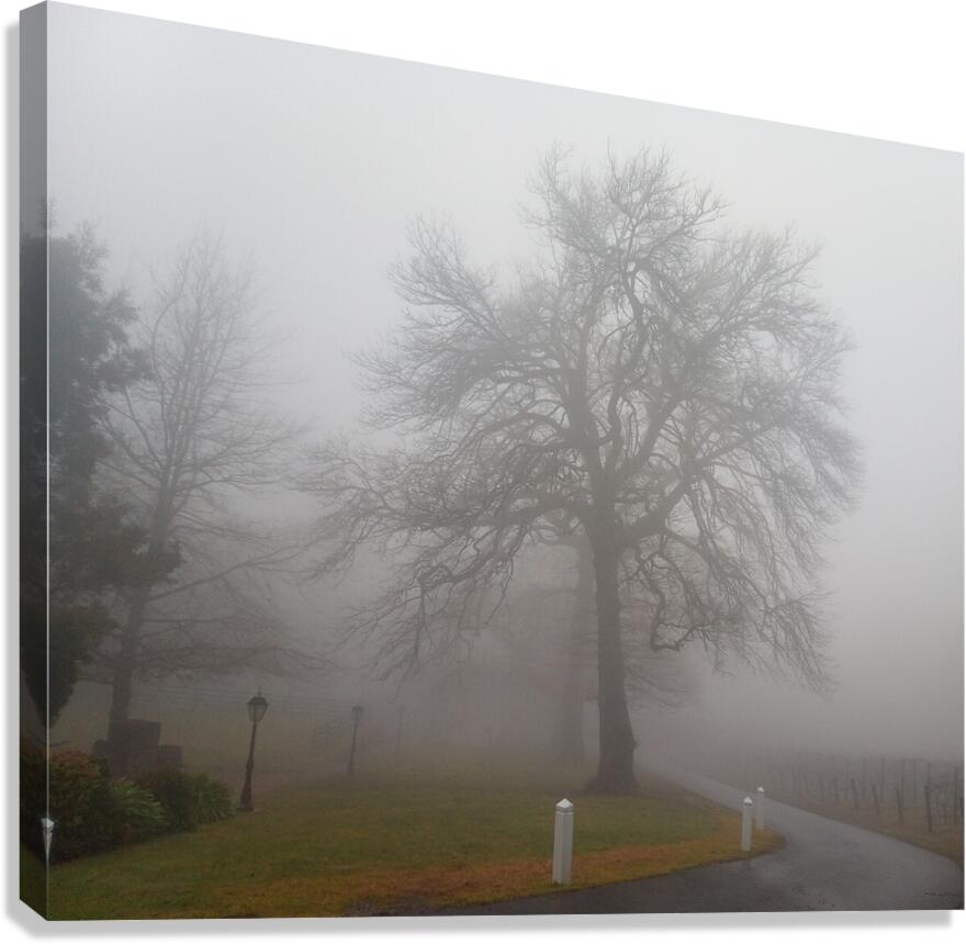 Arrival III Canvas Print