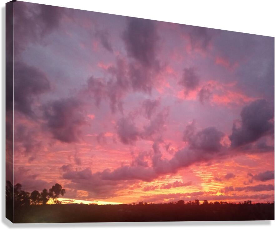 On Fire  Canvas Print