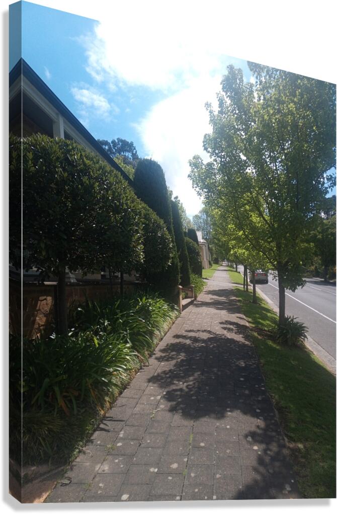 A Street Canvas Print