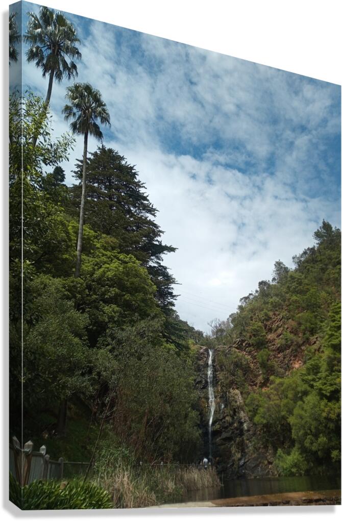 Waterfall Gully Canvas Print