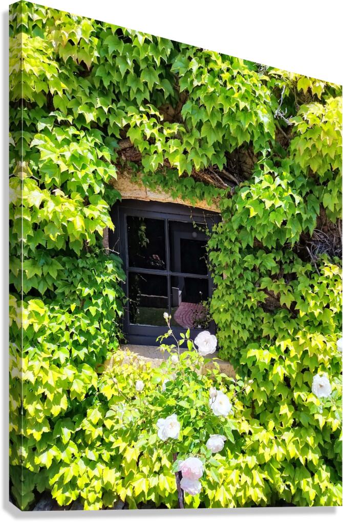 Spring Vines IV Canvas Print