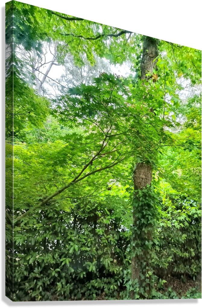 Green Leaves Canvas Print