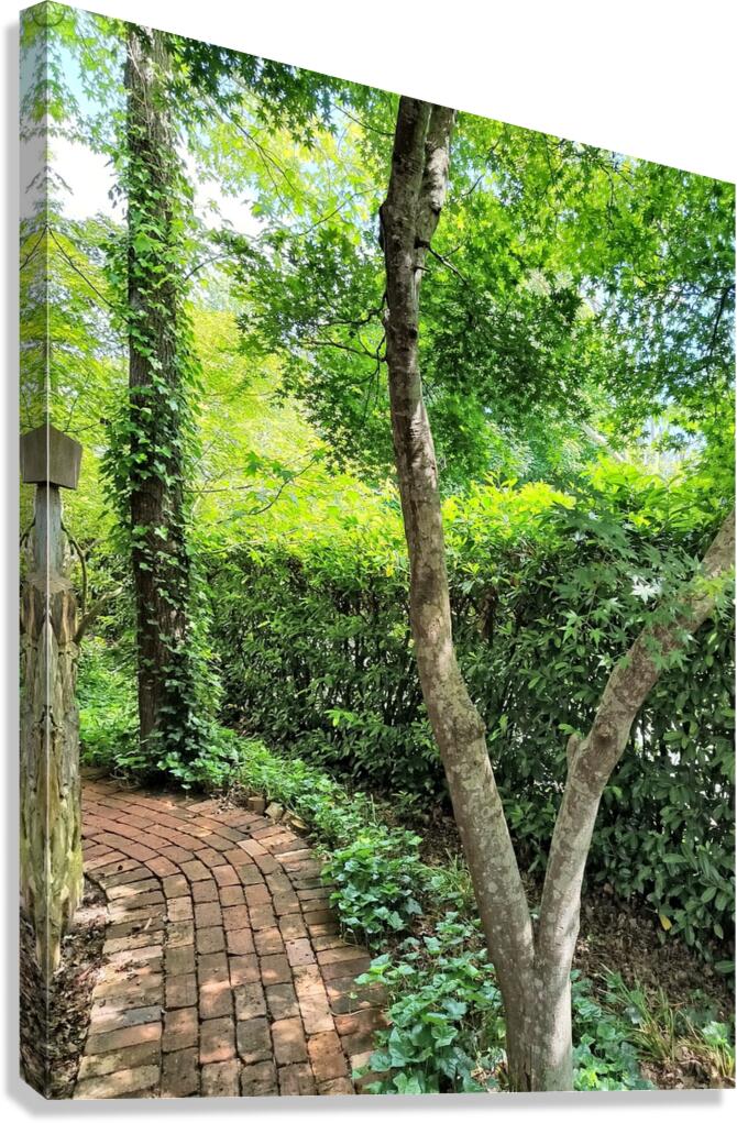 Pretty Path Canvas Print