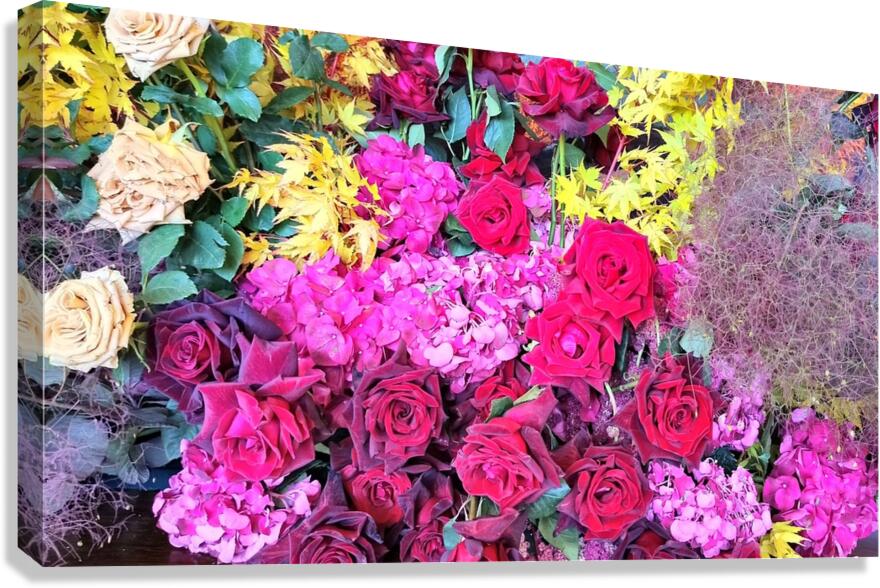 Reds Canvas Print
